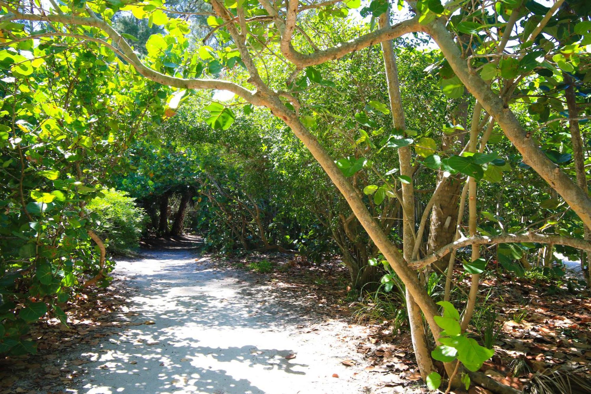 Anna Maria Island Runaway Tropical Dream-One Minute Walk To The Beach-Heated Pool Bradenton Beach Εξωτερικό φωτογραφία